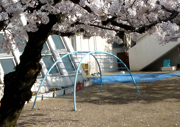 雲梯(うんてい)
